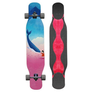 Adult Long board Four-wheeled longboard Trucks Dancing Skateboards custom skateboard skate longboard