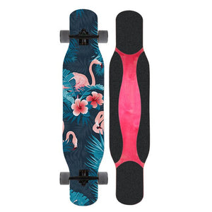 LOSENKA Ⅱ MS406 longboard dancing beginner Skateboard