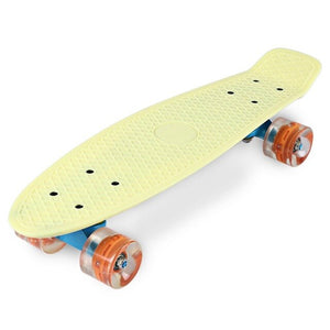 22 Inches Skate Board Banana Style Mini Cruiser Long Board Pastel Color Adult Child Fish Skateboard with LED Flashing Wheels