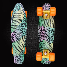 Load image into Gallery viewer, Free Shipping Plastic skateboard Graffiti Printed Cruiser Long Style Complete Single Rocker Long Board skateboarding board