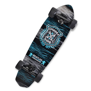 UGIN Freestyle Printing Street 28 inch Long Skate Board Complete Retro Graffiti Style Skateboard Cruiser Long Skateboards Maple