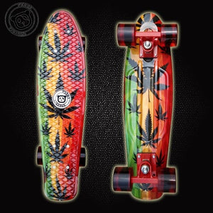 New 2019 Custom Peny Skateboard Graphic series 22" Retro Mini Skate Fish Long Board cruiser longboard complete skates patins